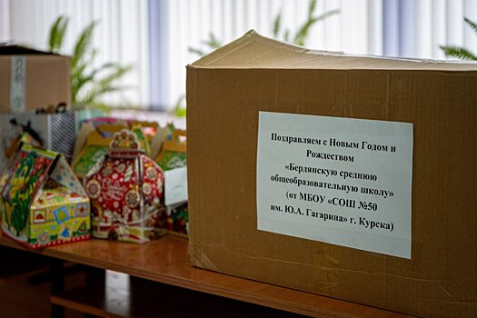 Курские школьники поучаствовали в акции «Новогодний подарок детям Донбасса»