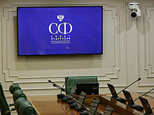 Сенаторы предложили создать комиссию для поддержки нефтегазохимической отрасли