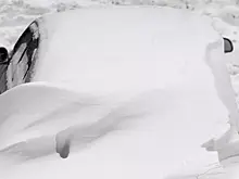 В России появилась новая профессия