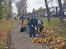 Депутаты гордумы Воронежа приняли участие в общегородском субботнике