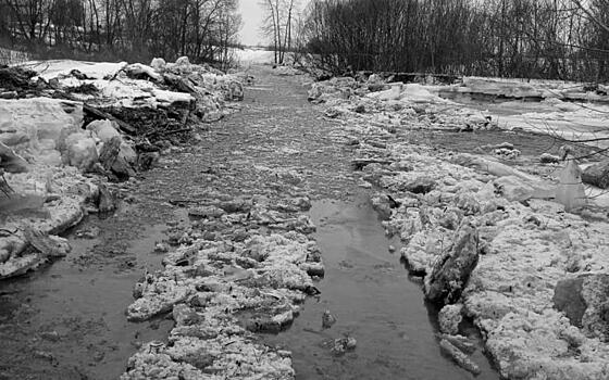 Жители деревни Дмитриевка остались без снабжения едой из-за подтопления моста