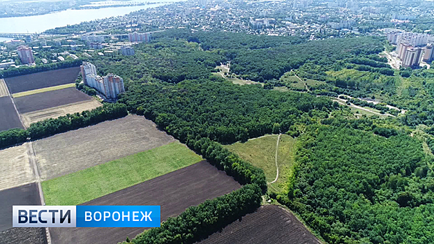 Специалисты создадут виртуальную карту Центрального парка Воронежа