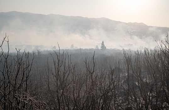 Лесные пожары в Анталье в туристических районах локализованы