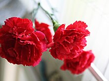 Скончался родной брат экс-депутата Камчыбека Ташиева