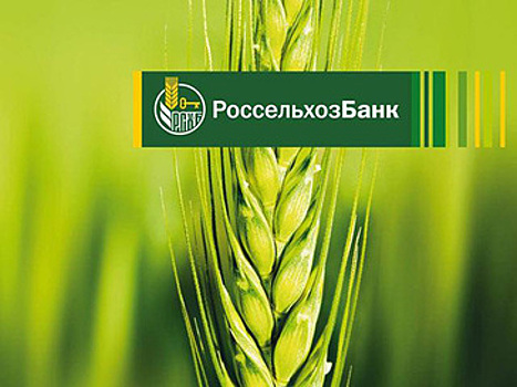 Медведев сообщил о докапитализации Россельхозбанка на 30 млрд рублей