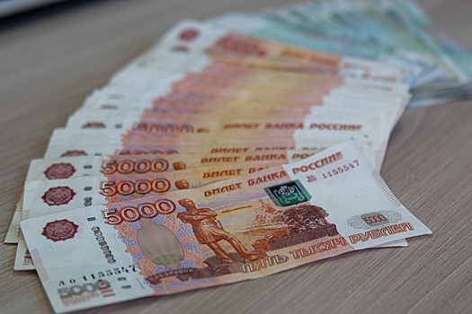 В Новосибирской области отмечен рост зарплат на 24,8%