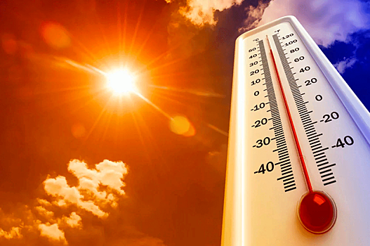 Аномальная жара выше 40 градусов ожидается в Ростове в ближайшие три дня