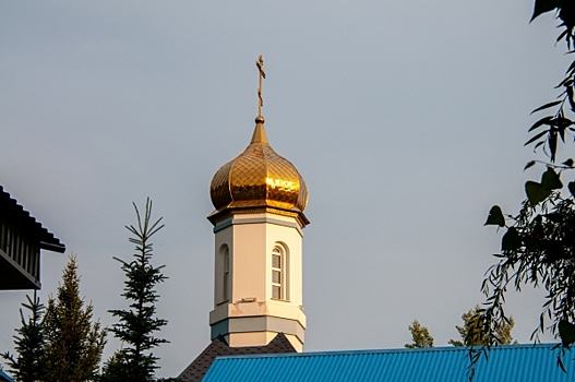 В Самарской епархии сменился митрополит: что известно об епископе Феодосии