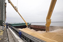 С начала сельхозгода Россия серьёзно увеличила экспорт пшеницы в Алжир