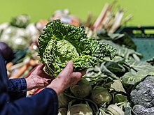 Врач назвала идеальную диету при варикозе