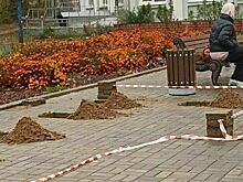 Сегодня в Кирове на остановке «Трифонов монастырь» появится павильон