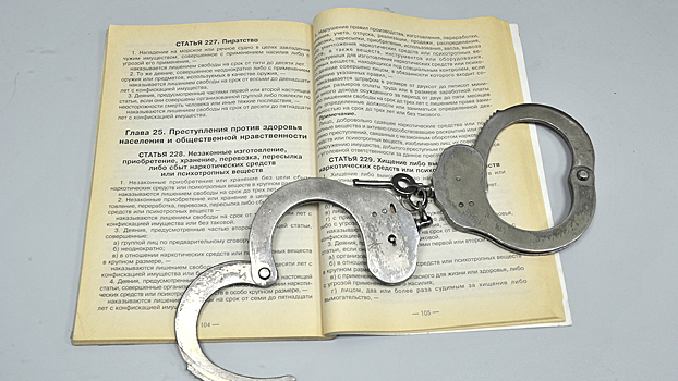 Полицейские задержали в Рязани двоих злоумышленников, подозреваемых в организации изготовления и распространения синтетических наркотиков