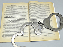 Полицейские задержали в Рязани двоих злоумышленников, подозреваемых в организации изготовления и распространения синтетических наркотиков