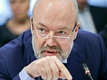 Депутат Крашенинников предложил отложить обсуждение инициативы об амнистии