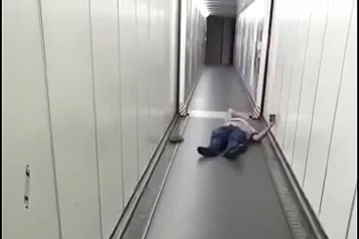 Приступ клаустрофобии у авиапассажира в Москве попал на видео