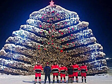 В Карелии построили новогоднюю елку из 3 тысяч бревен