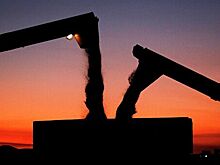 Минсельхоз повысил прогноз по урожаю зерна до 118-120 миллионов тонн