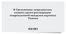 Третьяковка: картина, на которую напал вандал, «хронически больна»