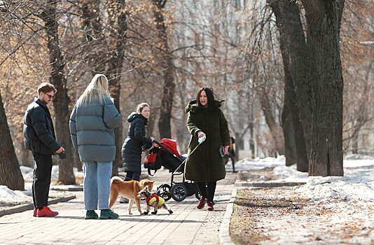 Эксперт дала советы, как улучшить поведение собак на прогулке