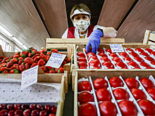 Какие продукты подорожают осенью