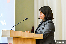 Председатель КСП Челябинска перечислила самые частые выявленные нарушения