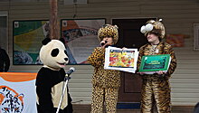 В Приморье пройдет фестиваль "Земля леопарда – на стыке культур"