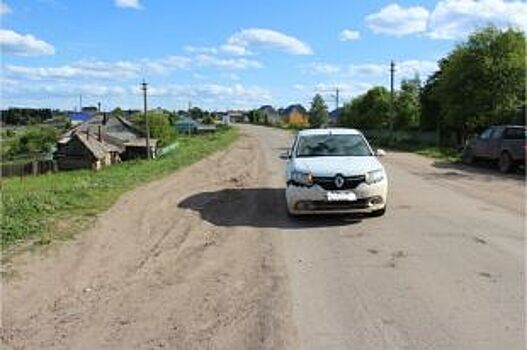 Водитель сбил трёхлетнюю девочку в Пермском крае