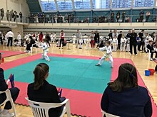 Опубликовали итоги первенства по тхэквондо, прошедшего в ФОКе «Братеево»