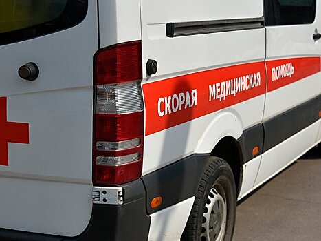 Автомобиль насмерть сбил женщину с шестилетней девочкой в Раменском