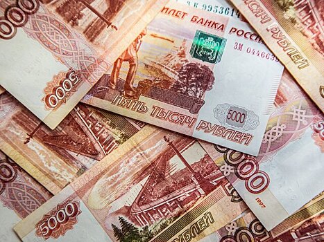 Роструд вернул свыше 2 млрд рублей долгов по зарплате без проведения проверок