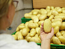 Картошка и яйца: какие продукты сильнее всего дорожают осенью