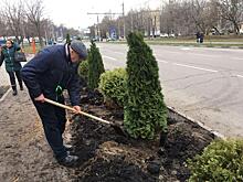 На улице Маршала Чуйкова прошла акция «Зеленые Кузьминки»