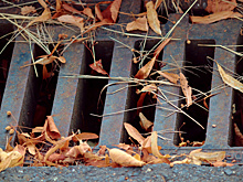 В Новосибирске в канализации нашли человеческий скелет