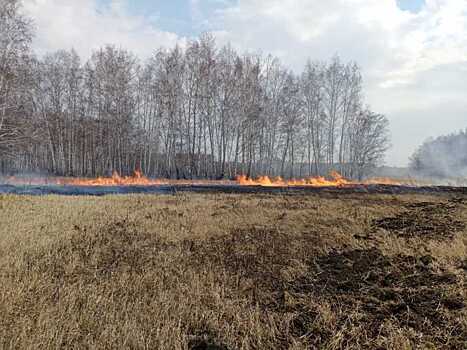 В Воронежской области инвентаризируют пожароопасные участки