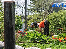 Дачникам меняют правила игры