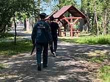 Более 100 патрульных групп на Среднем Урале в выходные дни следят за соблюдением противопожарных мер