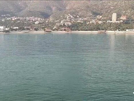 Роспотребнадзор не выявил в рыбе из Черного моря несоответствия гигиеническим нормам