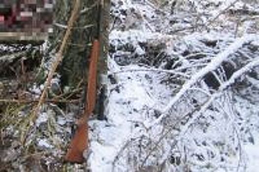 Подробности:эстонская гончая застрелила опытного охотника в поле у Дьяковки