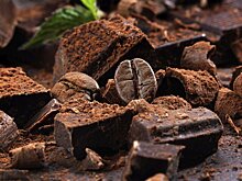 Диетолог Русакова: сочетание бобовых с зеленью надолго сохранит чувство бодрости