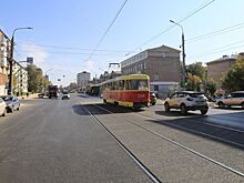 Новые деревья высадят на улице Ленина в Ижевске 19 октября