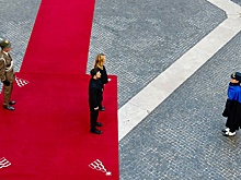 Коту Ларри под хвост: куда ведут переговоры Зеленского в Европе