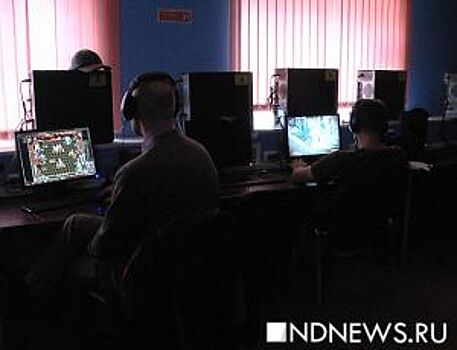 Количество интернет-преступлений на Урале ежегодно растет на 10%