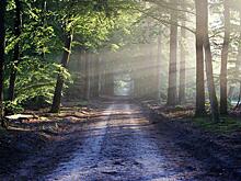 Бесплатный поход до Машкинского ручья в Куркине состоится 28 июля