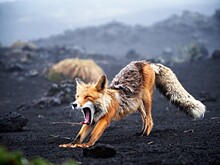 В КЦ «Вдохновение» пройдёт фотовыставка