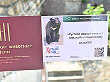 «Русское Радио» провело праздник в честь Дня защиты детей в Московском зоопарке