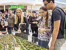 Глава Росреестра подвел предварительные итоги эксперимента по созданию ЕИР в Татарстане