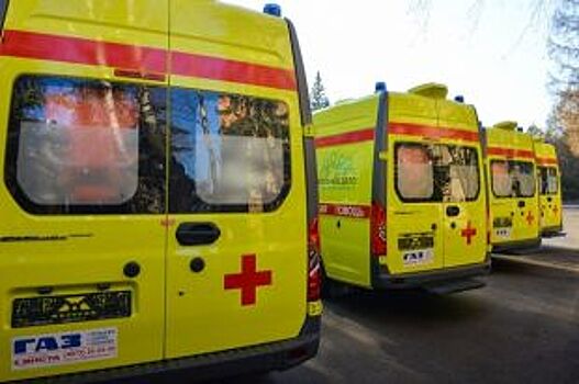 В ДТП в Тамбовской области пострадали двое маленьких детей