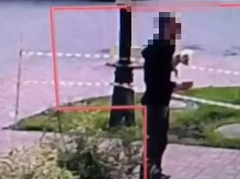 В Петербурге неизвестный украл собаку, пока владельцы заносили домой сумки
