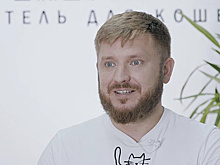 Дневник предпринимателя: как юрист открыл отель для кошек