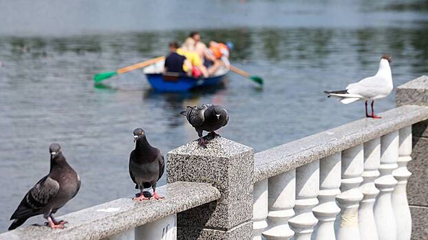 Новоданиловскую набережную капитально отремонтировали на юге Москвы